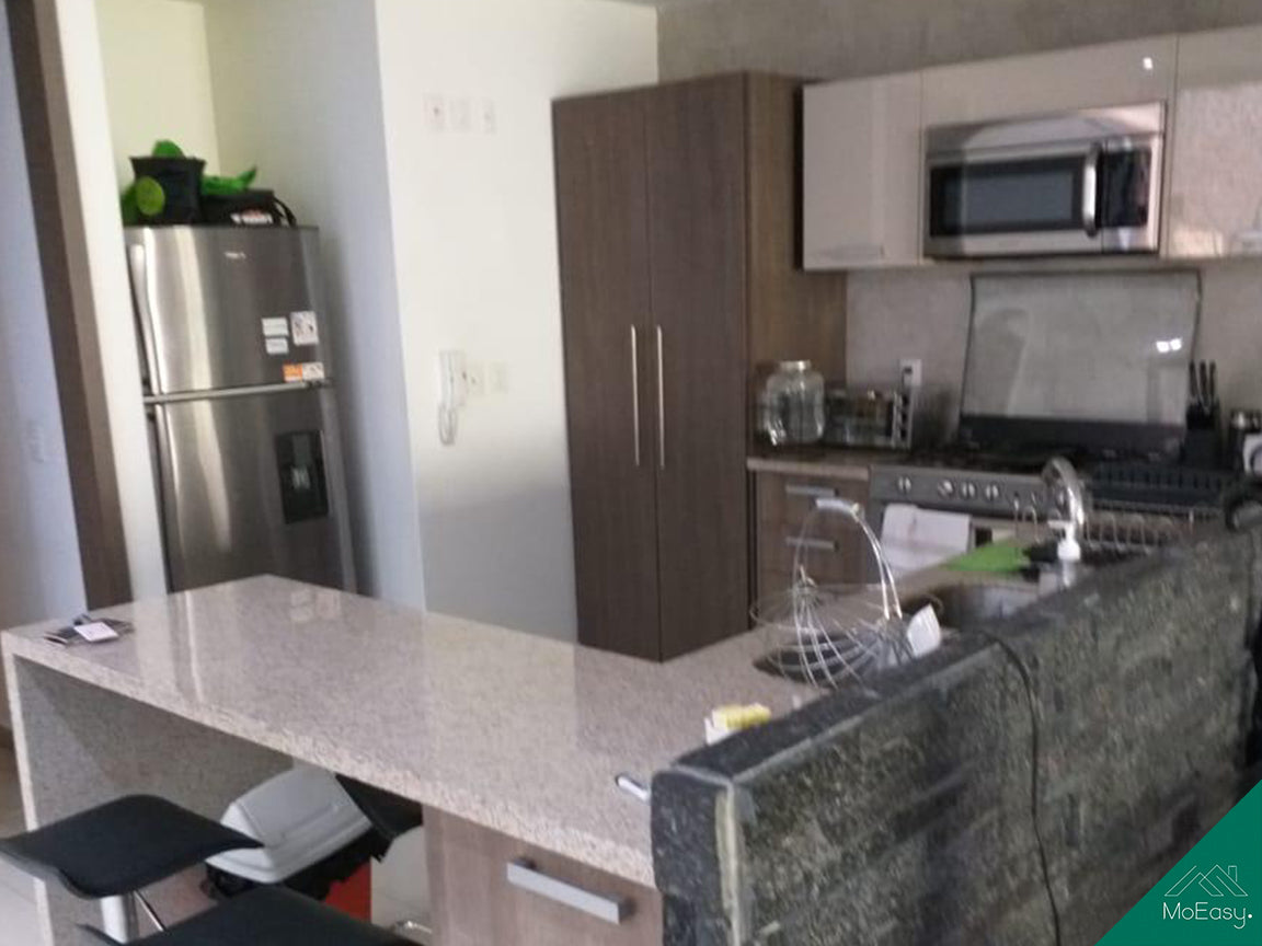 Departamento en renta en Polanco V Sección – Petrarca