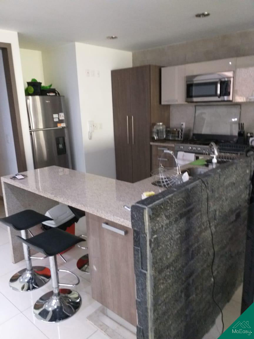 Departamento en renta en Polanco V Sección – Petrarca
