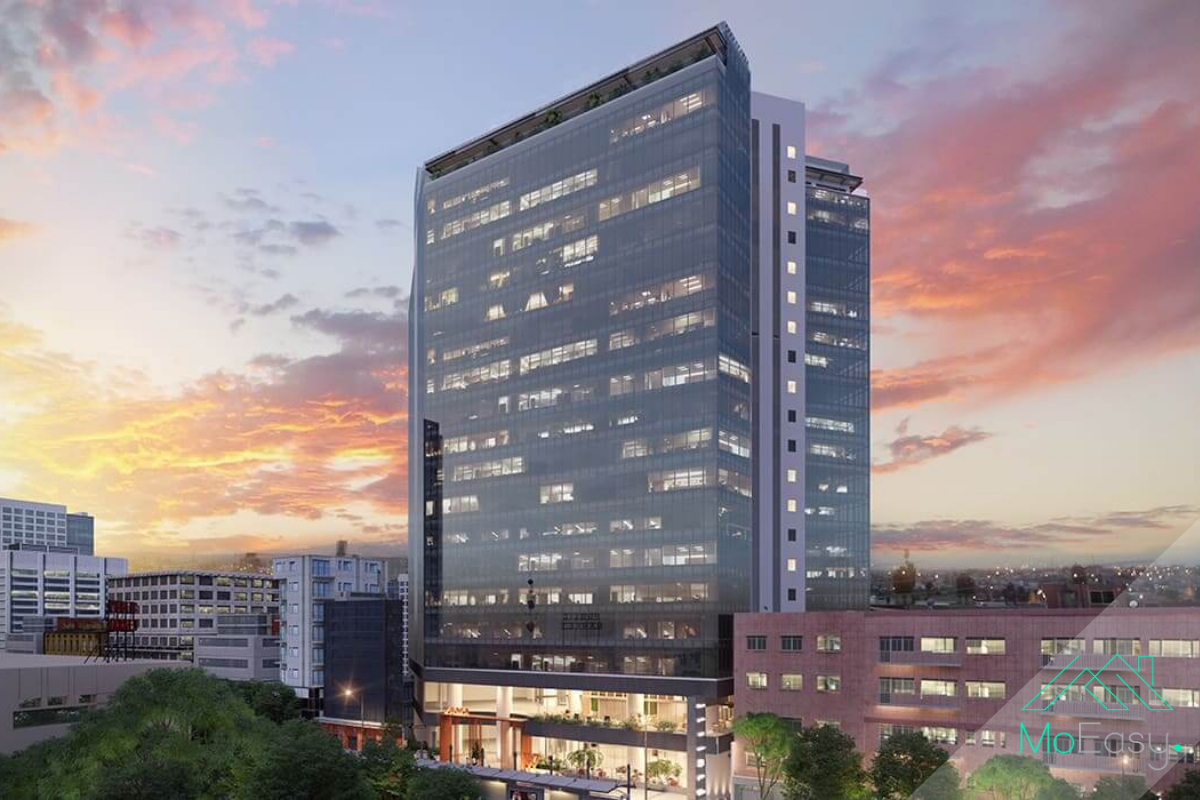 Yama Insurgentes Reforma - Oficina en Renta Obra Gris P6