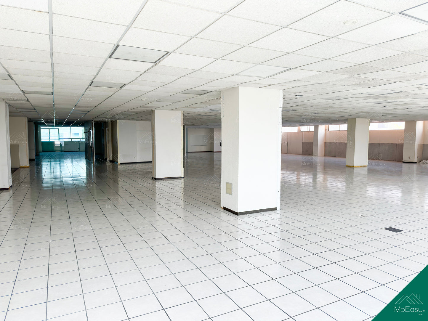 OFICINAS CORPORATIVAS EN RENTA – LAGO ISEO 236 | A MINUTOS DE POLANCO