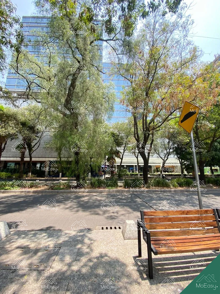 Local en renta Masaryk Ubicación Premium