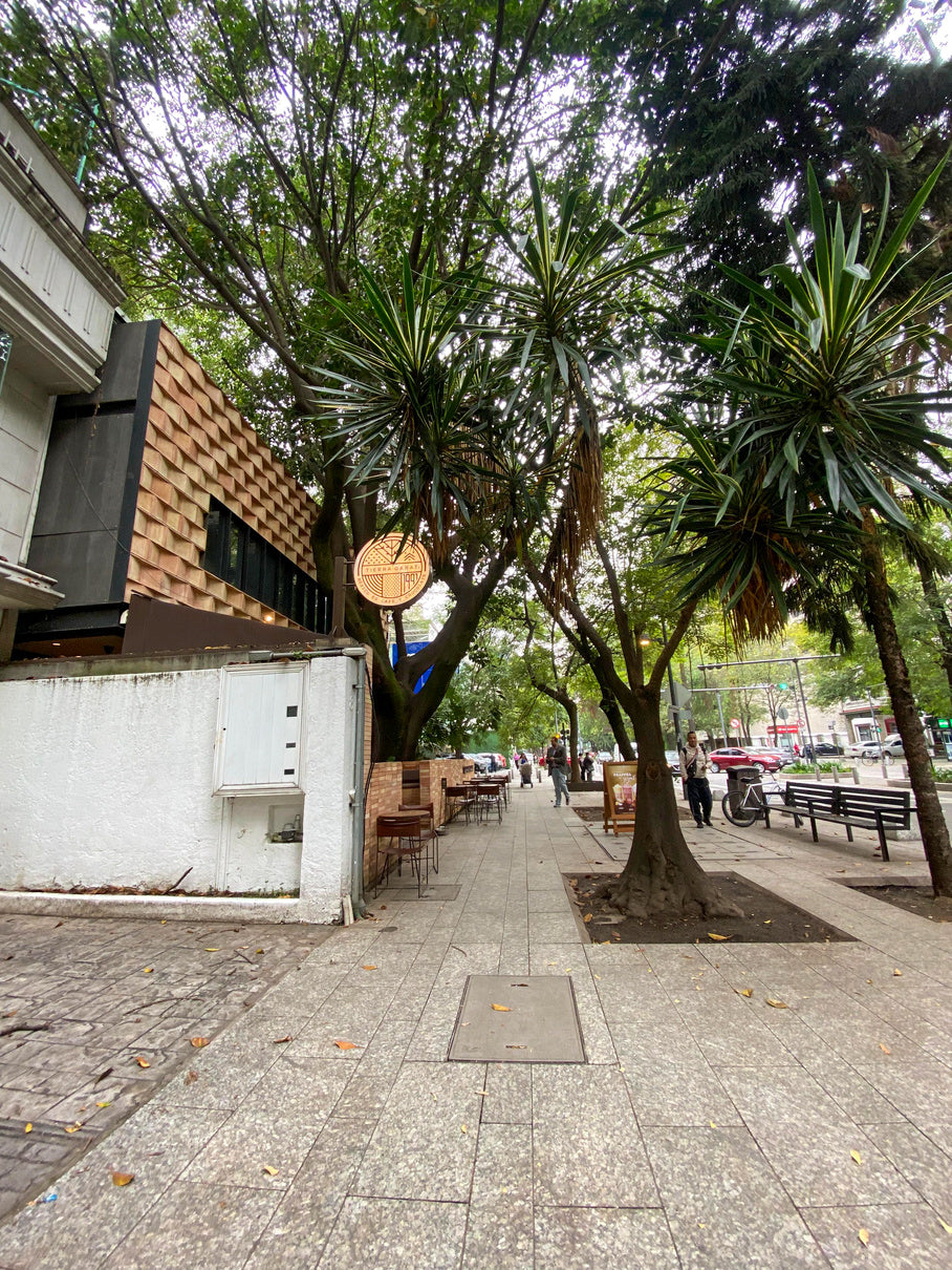 Local en renta Masaryk 84