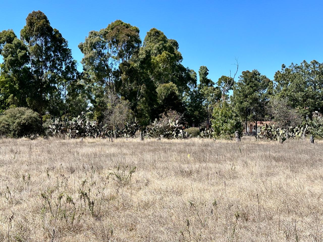 Terreno en Venta en Acatlán, Hidalgo