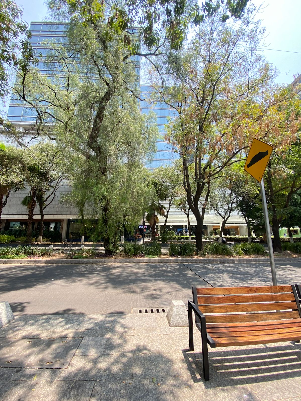 Local en renta Masaryk Ubicación Premium