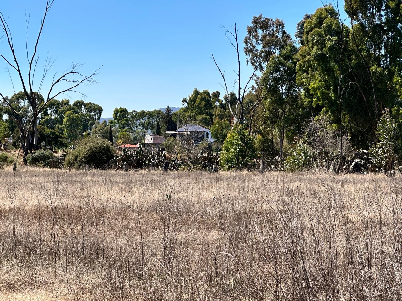 Terreno en Venta en Acatlán, Hidalgo