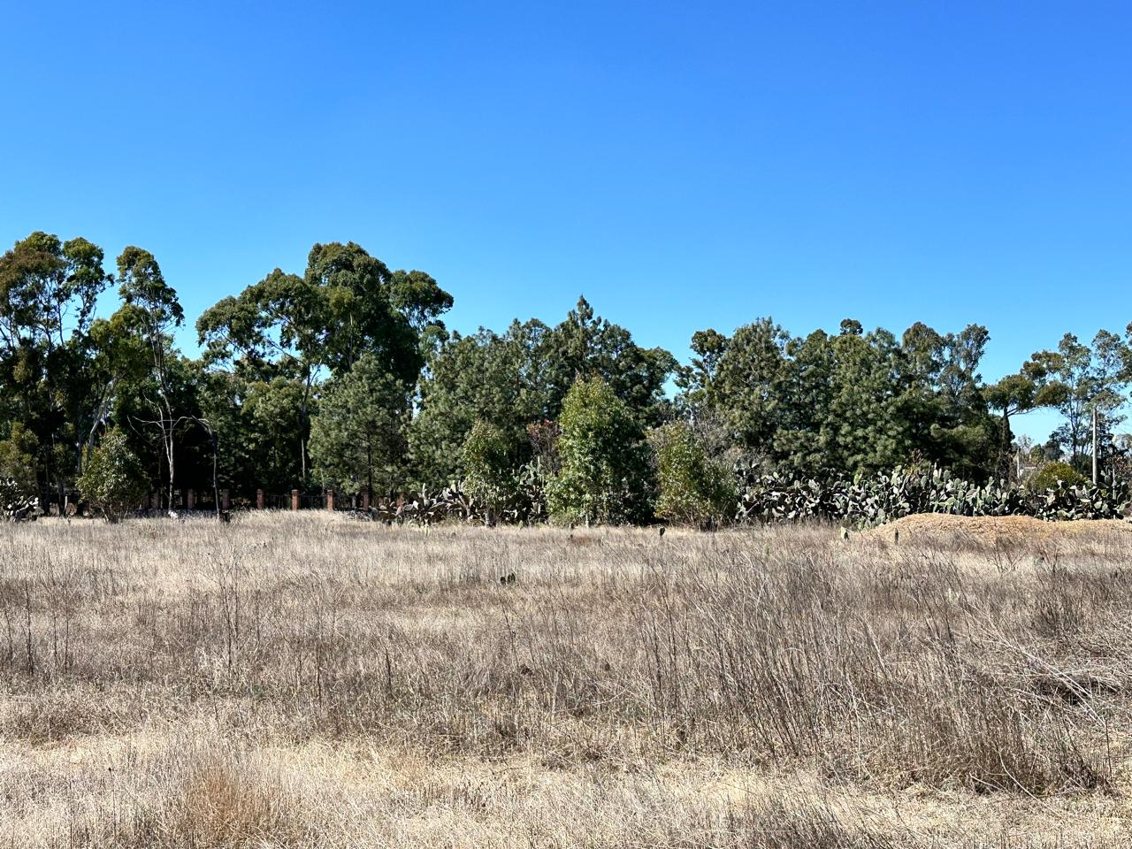 Terreno en Venta en Acatlán, Hidalgo