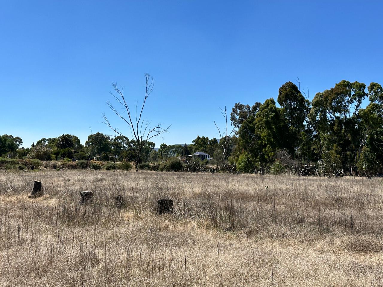 Terreno en Venta en Acatlán, Hidalgo