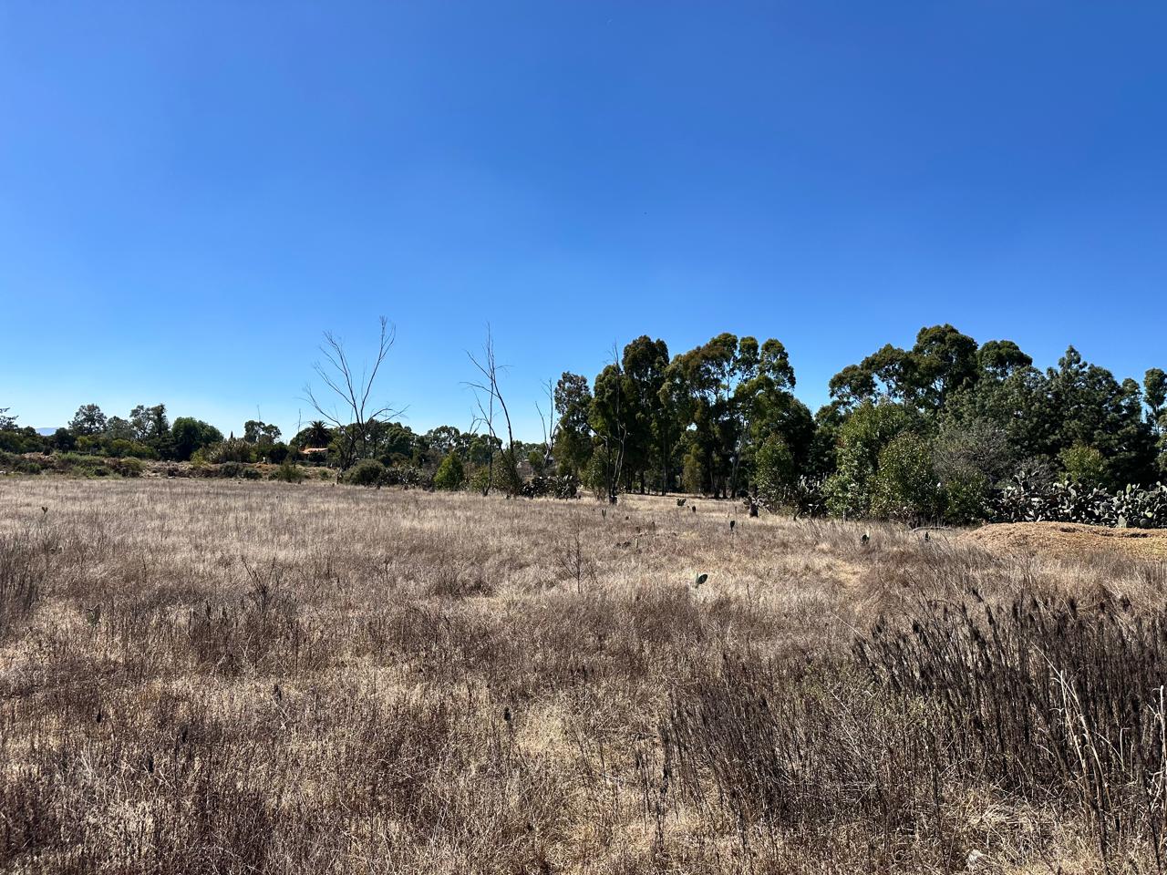 Terreno en Venta en Acatlán, Hidalgo