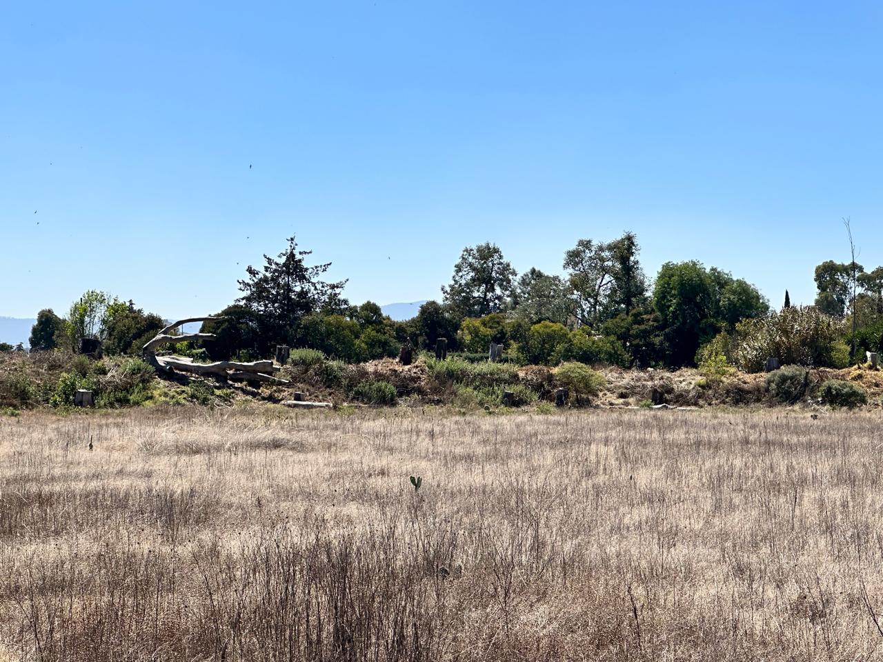 Terreno en Venta en Acatlán, Hidalgo