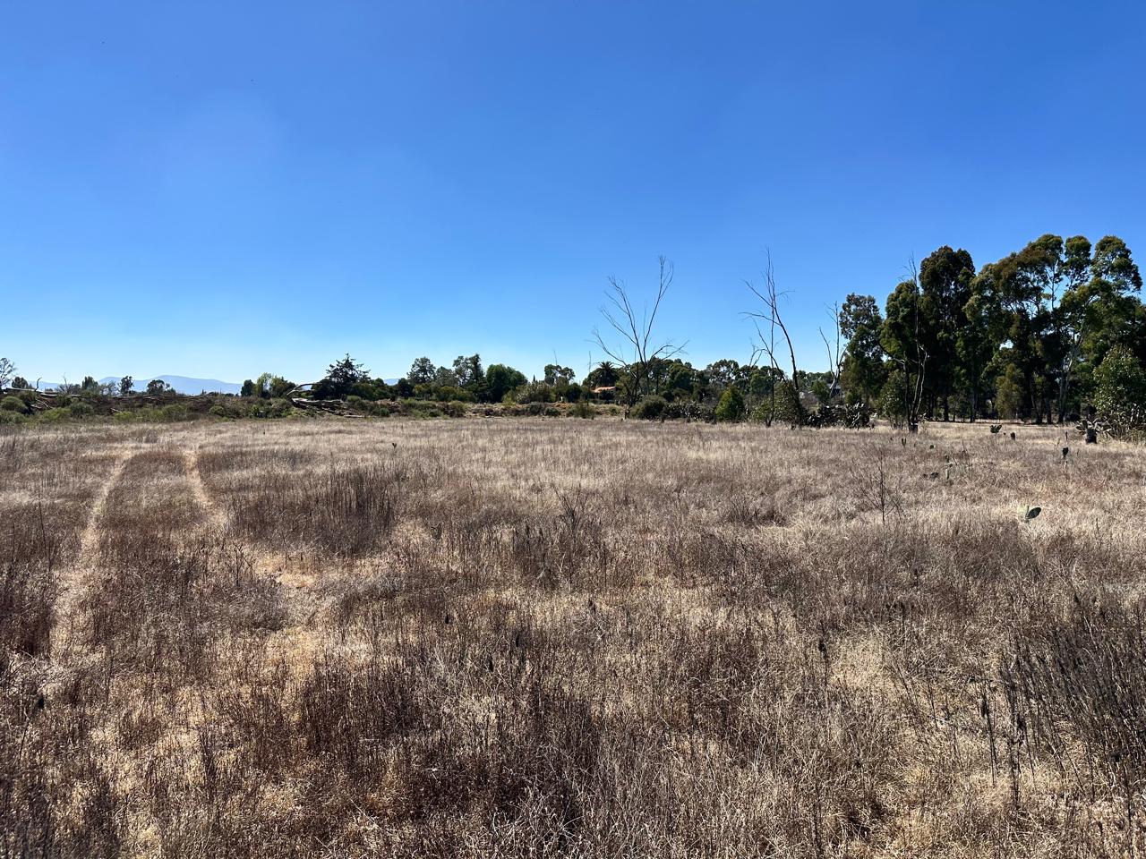 Terreno en Venta en Acatlán, Hidalgo